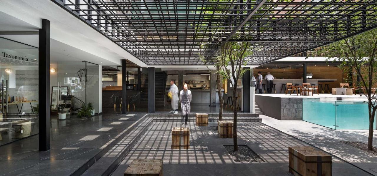Hotel Carlota Mexikóváros Kültér fotó